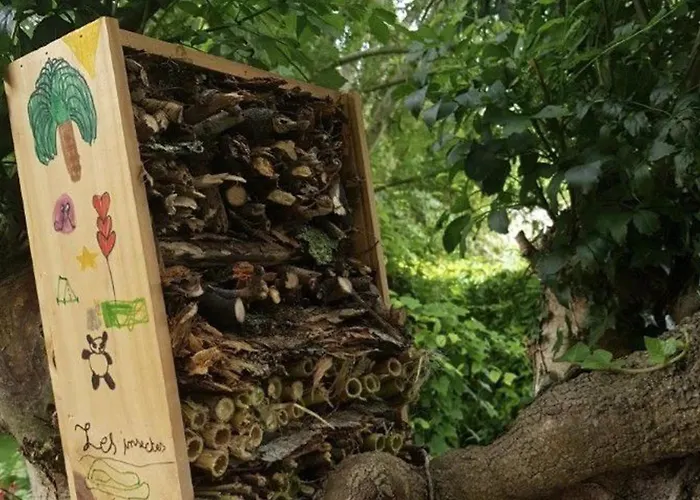 39m² Pour 4 Personnes Avec Terrasse - Api-1-52-669 Camping Coulon