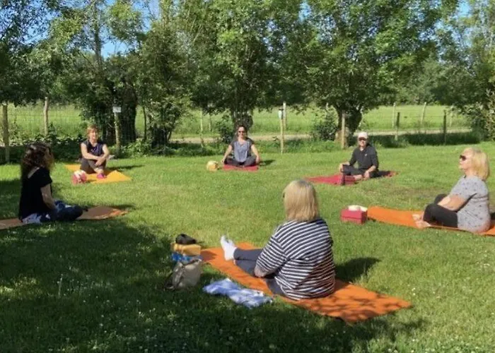 Camping 39m² Pour 4 Personnes Avec Terrasse - Api-1-52-669 Coulon